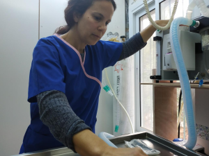 מרפאה וטרינרית לב משגב