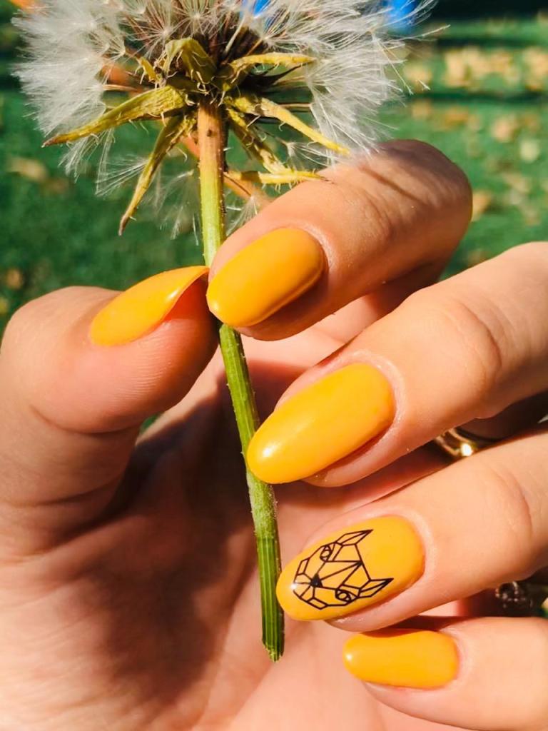 זוהר אפללו זוהר אפללו