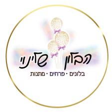 הבלון שלינוי