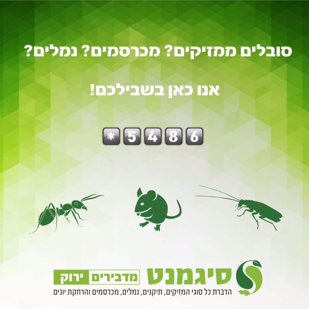 סיגמנט הדברה ירוקה סיגמנט הדברה ירוקה