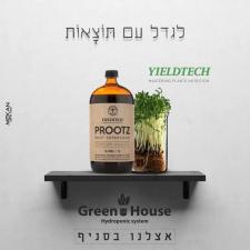 Green house hydroponic