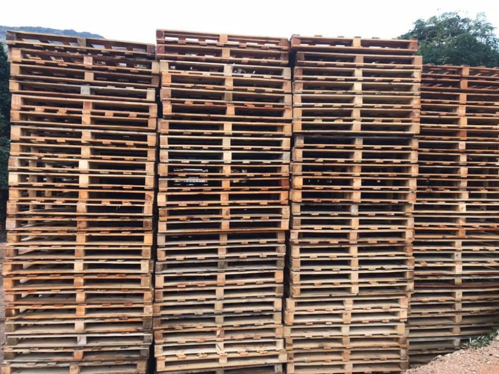 רפאל משטחי עץ רפאל משטחי עץ