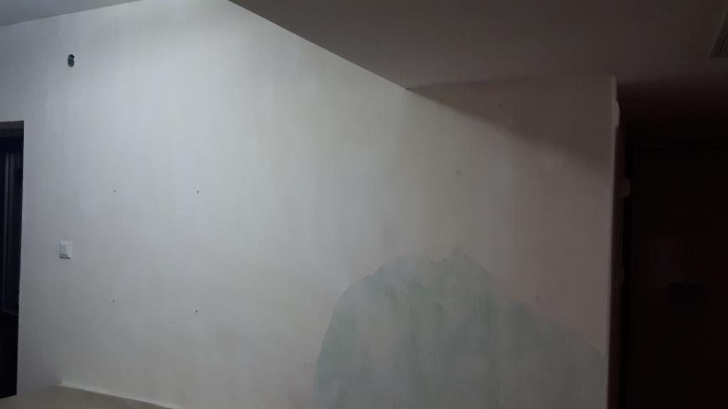 אלרון דוד אחזקות אלרון דוד אחזקות