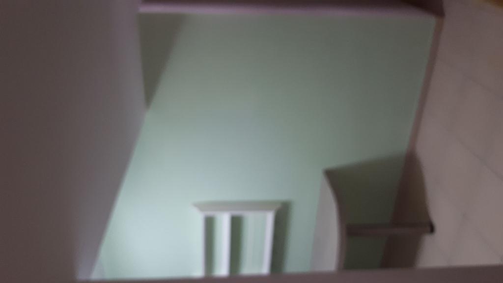 אלרון דוד אחזקות אלרון דוד אחזקות