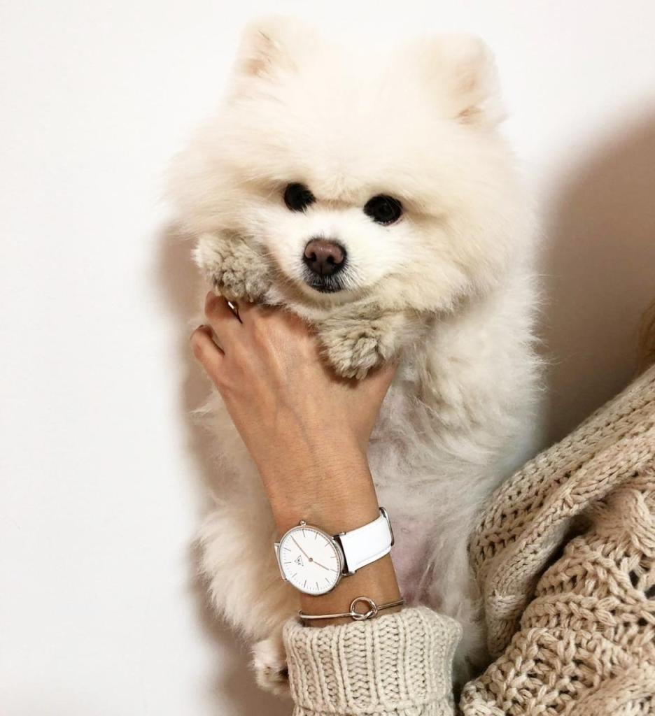 תכשיטים Y.K jewelry תכשיטים Y.K jewelry