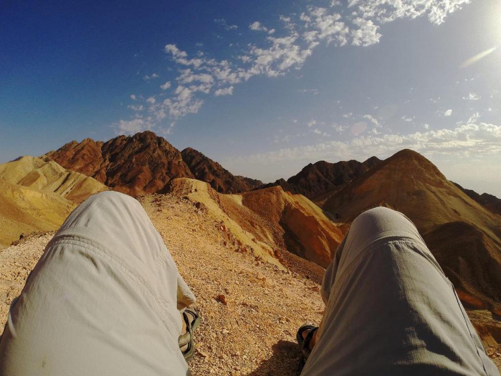 רון המדריך רון המדריך