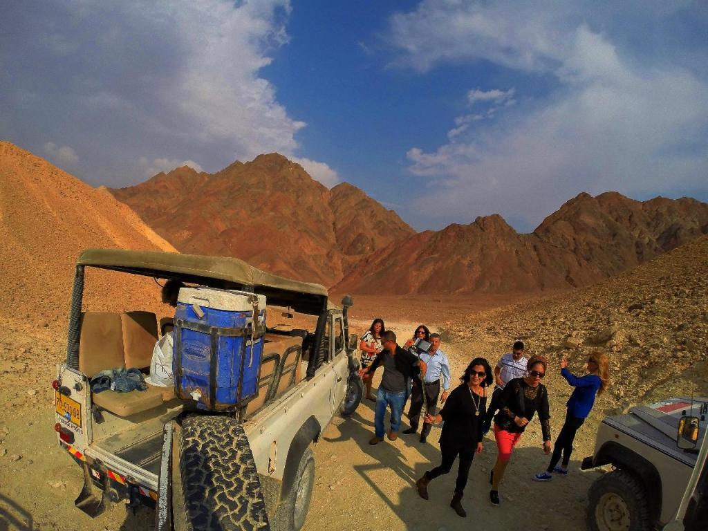 רון המדריך רון המדריך