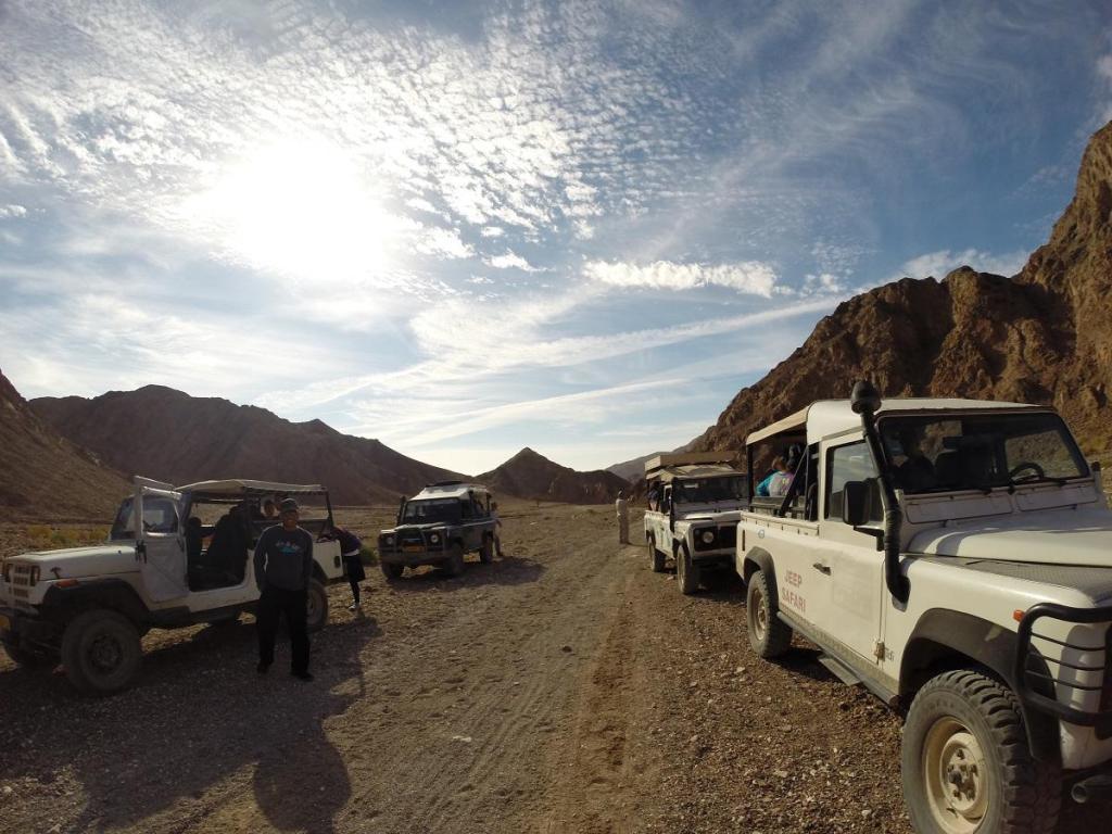 רון המדריך רון המדריך