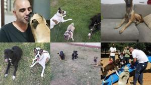 David Abutbul dog training