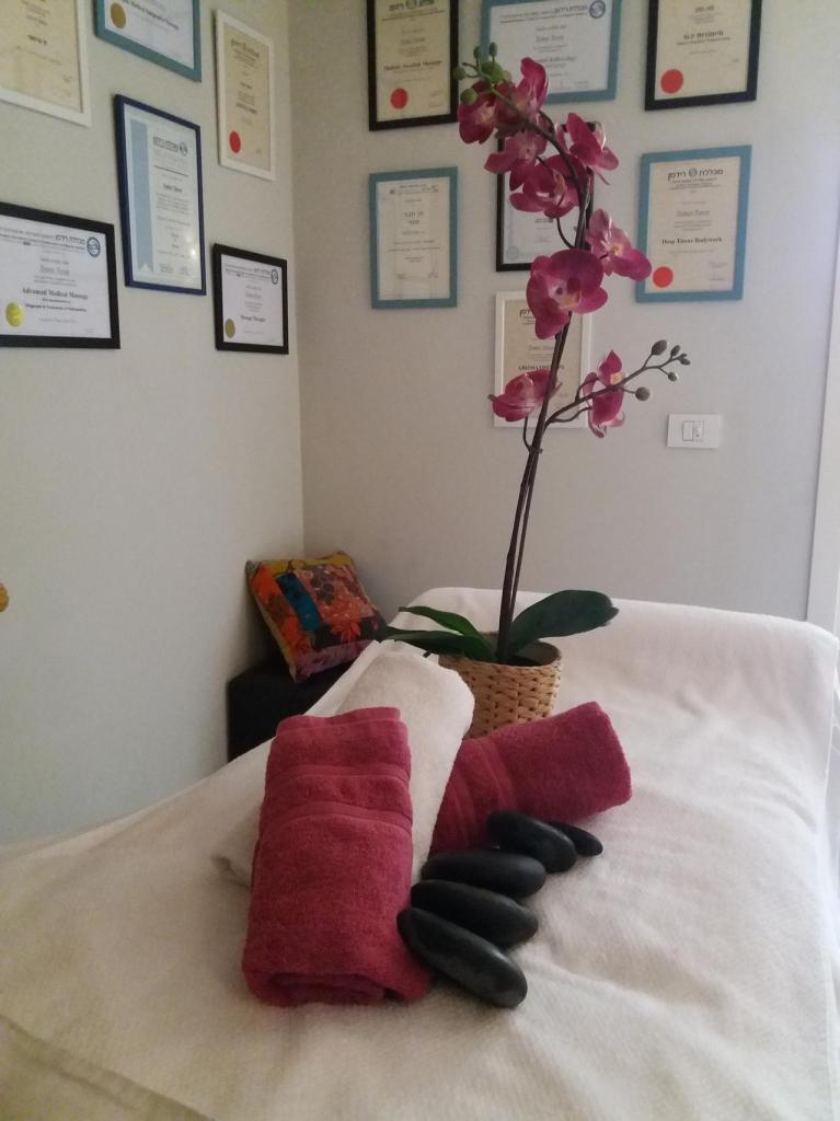 תומר מגע של קסם תומר מגע של קסם