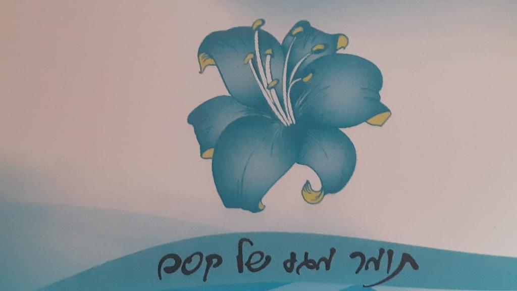 תומר מגע של קסם תומר מגע של קסם