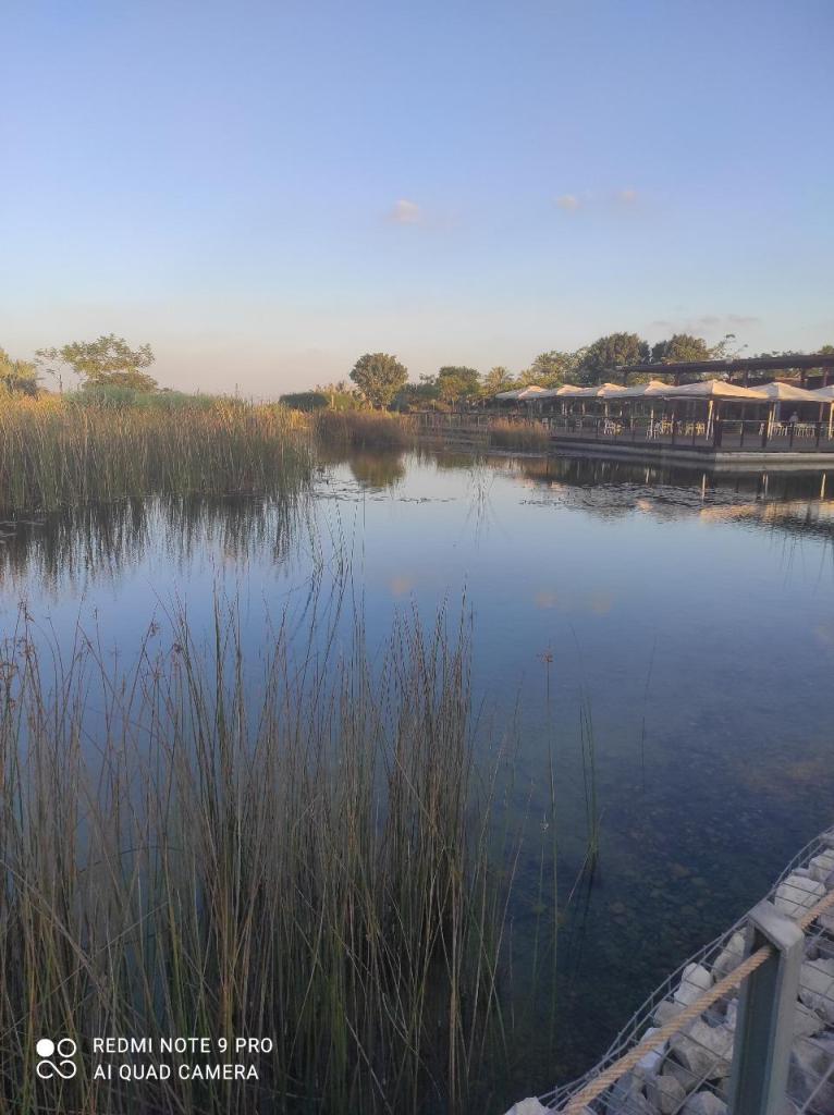 פאולה סדובסקי פאולה סדובסקי