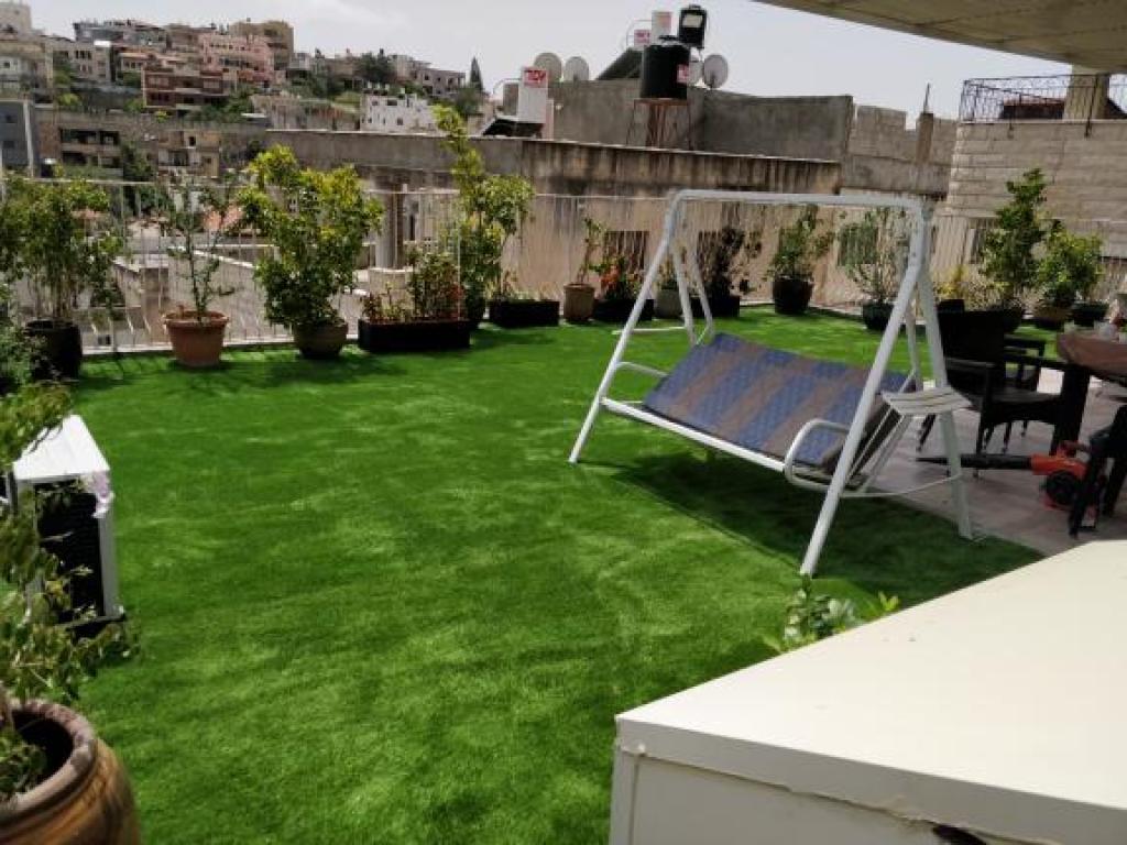 ד"ר גרין Dr green ד"ר גרין Dr green