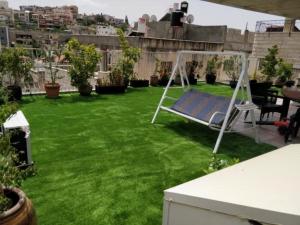 ד"ר גרין Dr green