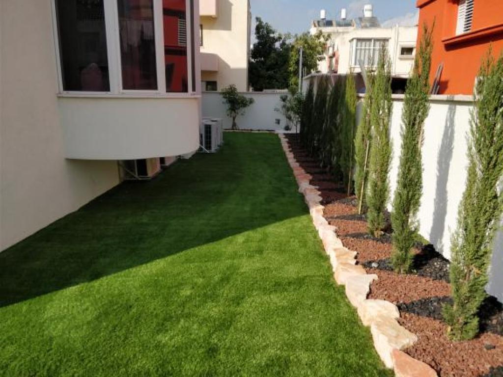 ד"ר גרין Dr green ד"ר גרין Dr green