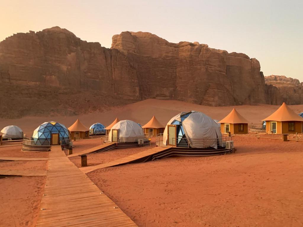 רד פיינאפל Red Pineapple רד פיינאפל Red Pineapple