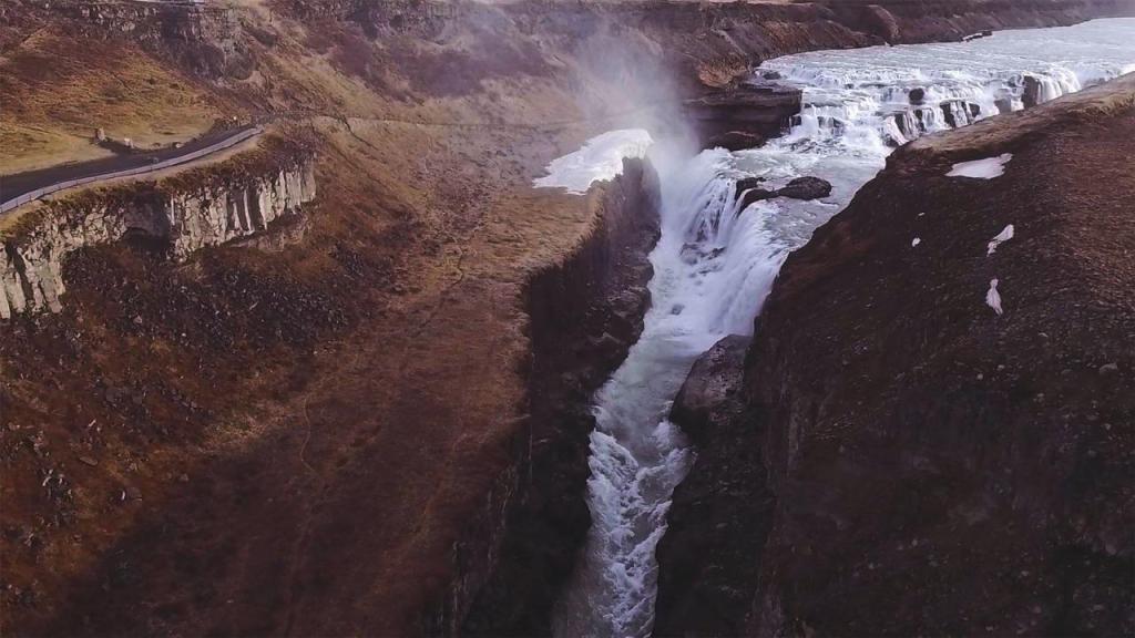 רד פיינאפל Red Pineapple רד פיינאפל Red Pineapple