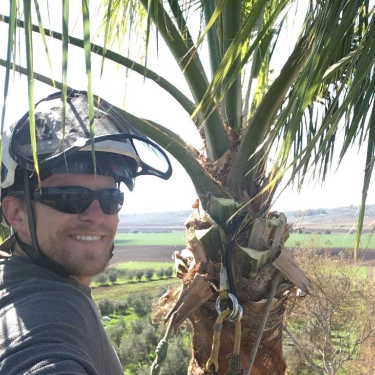 ג'ניה רבינוביץ גיזום וכריתת עצים ג'ניה רבינוביץ גיזום וכריתת עצים