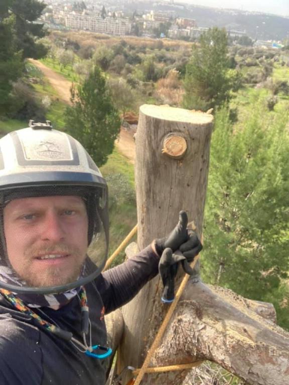 ג'ניה רבינוביץ גיזום וכריתת עצים ג'ניה רבינוביץ גיזום וכריתת עצים