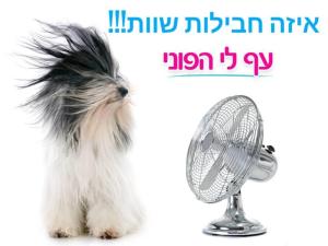 פלאפון פימובייל