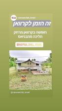 הפינה של יובל