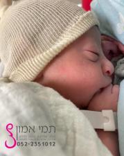 תמי אמון דולה