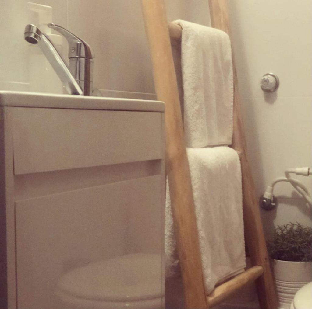 אלון לוין אלון לוין