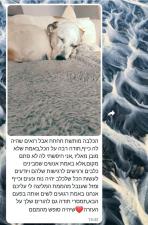 כ לב אילוף באהבה