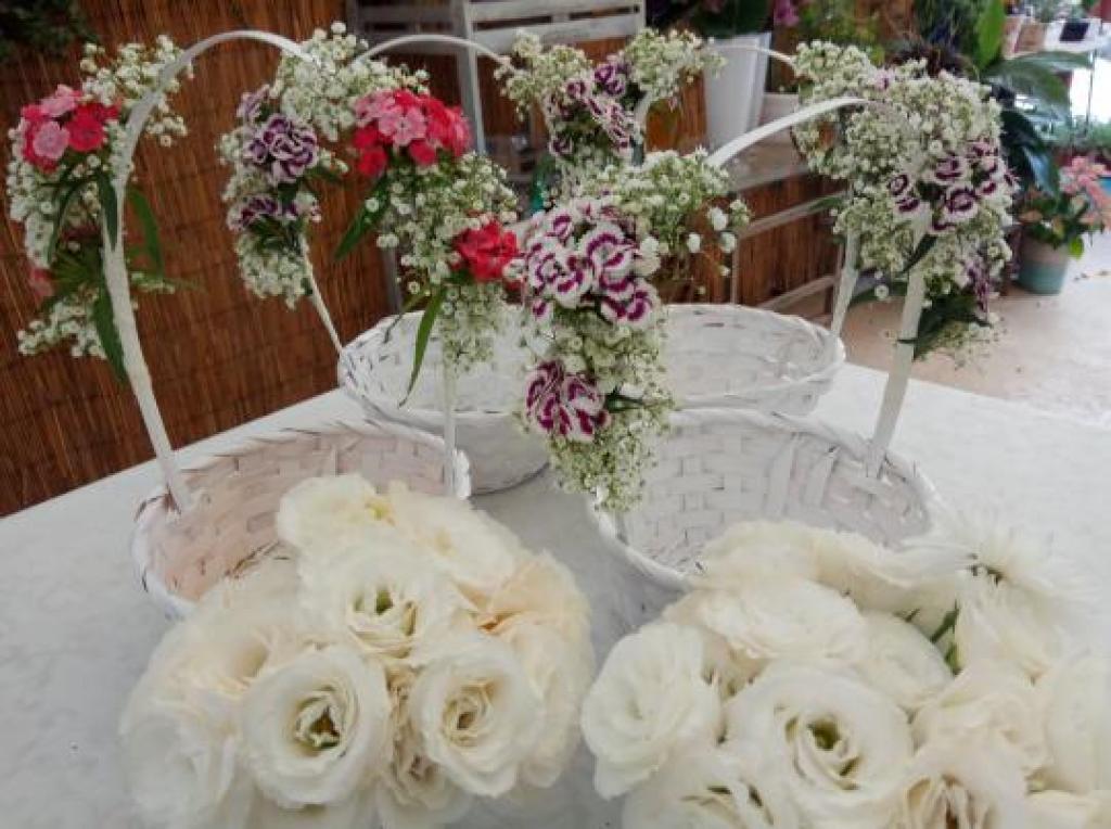 פרח בכפר פרח בכפר