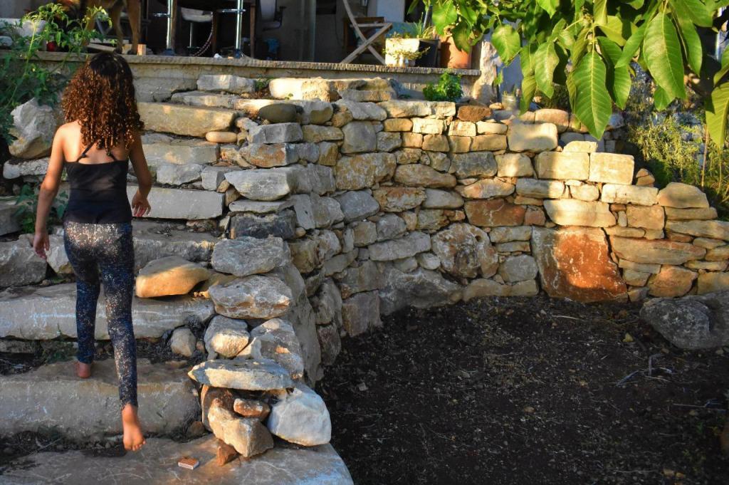 יובל מילר יובל מילר