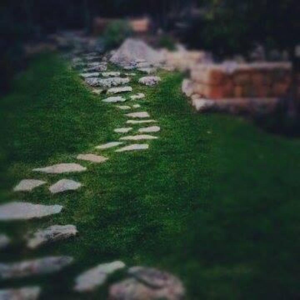 יובל מילר יובל מילר