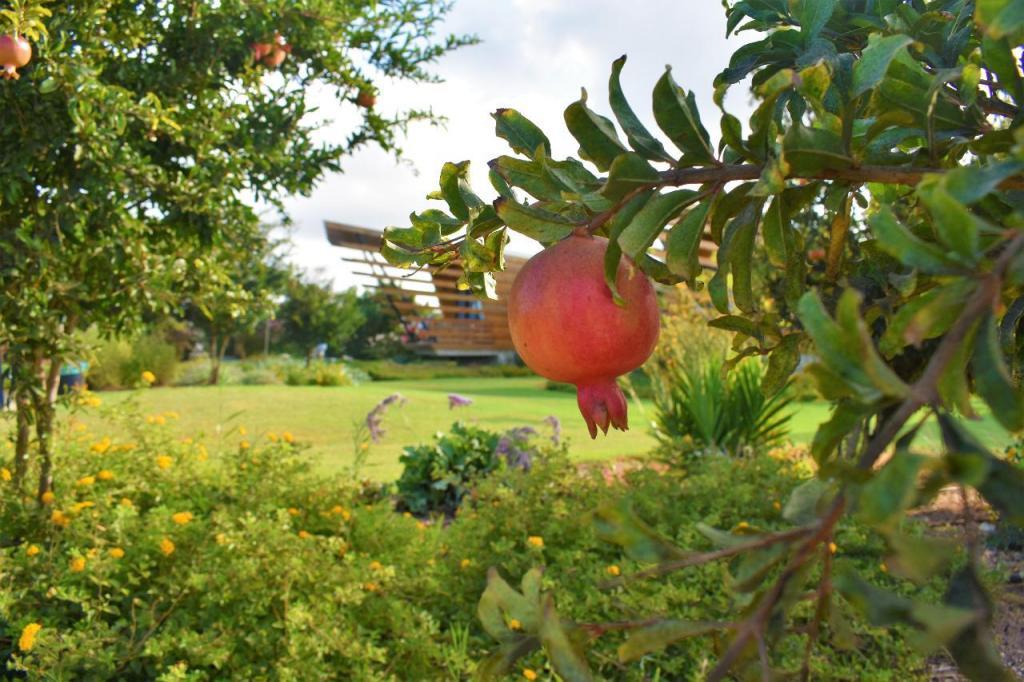 יובל מילר יובל מילר