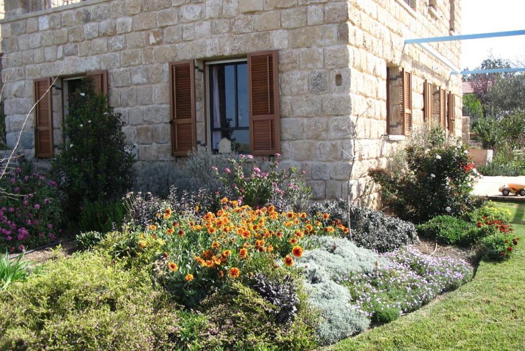 יובל מילר יובל מילר