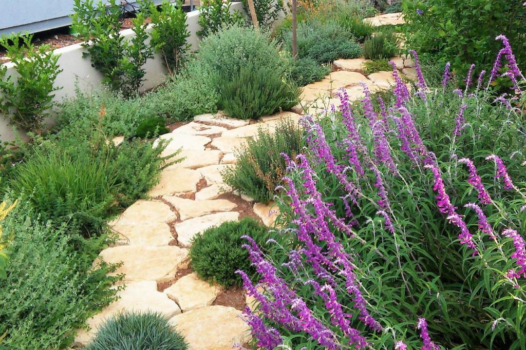 יובל מילר יובל מילר