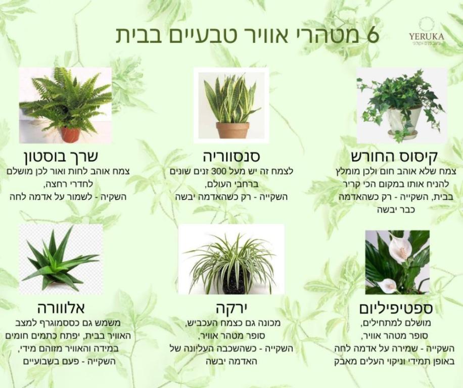 מירי עיצוב פנים מירי עיצוב פנים