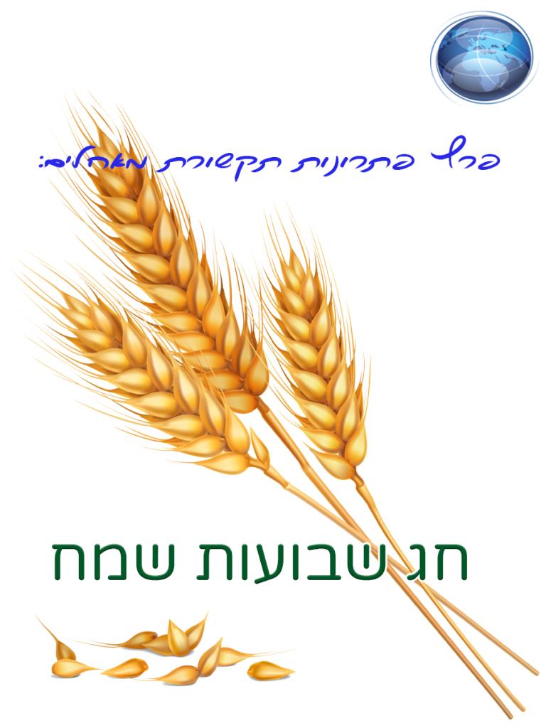 פרץ פתרונות תקשורת פרץ פתרונות תקשורת