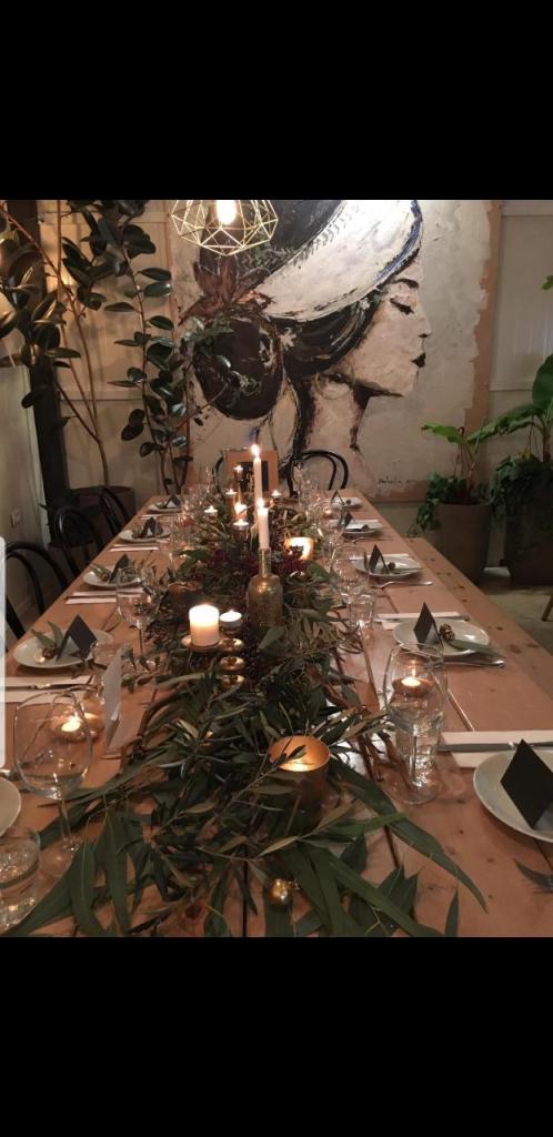 חממת הסחלבים חממת הסחלבים