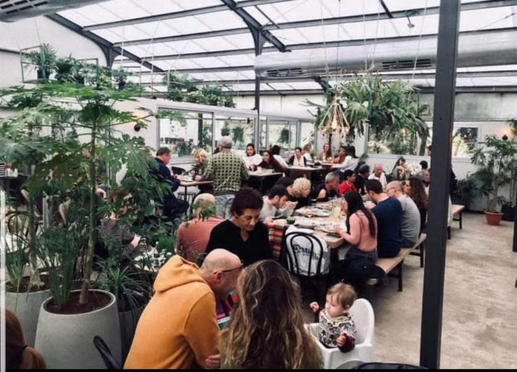 חממת הסחלבים חממת הסחלבים