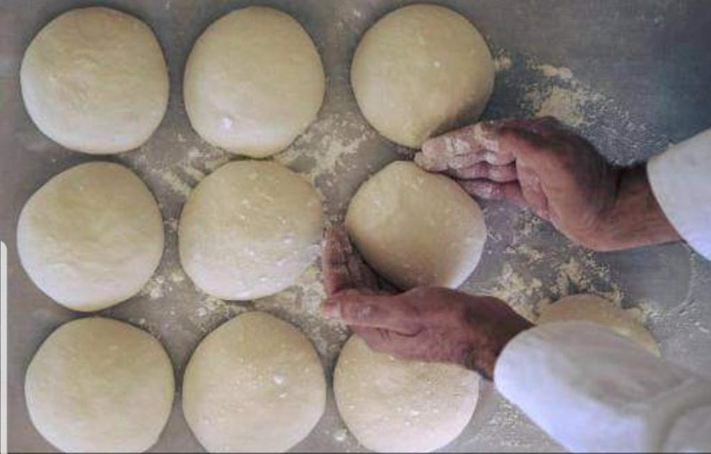 חממת הסחלבים חממת הסחלבים