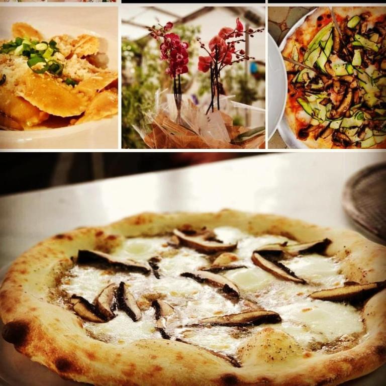 חממת הסחלבים חממת הסחלבים