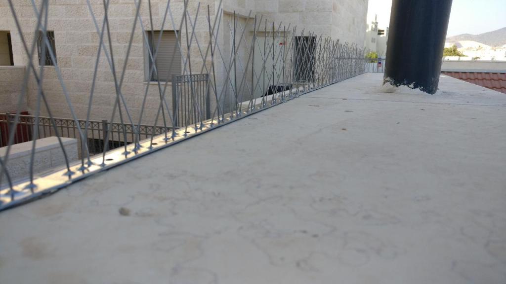 קוד נעול קוד נעול