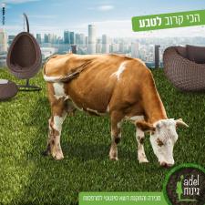 גינות אדל