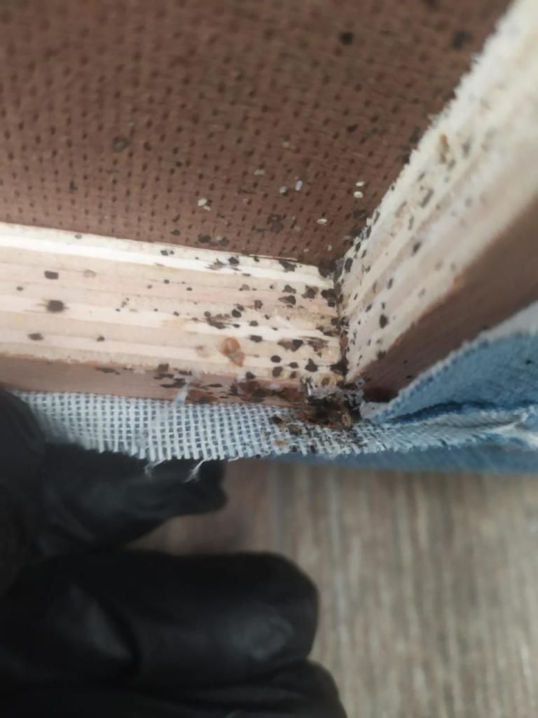 זיסמן הדברות זיסמן הדברות