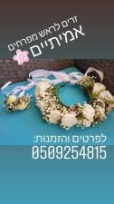 הזרים של שקד