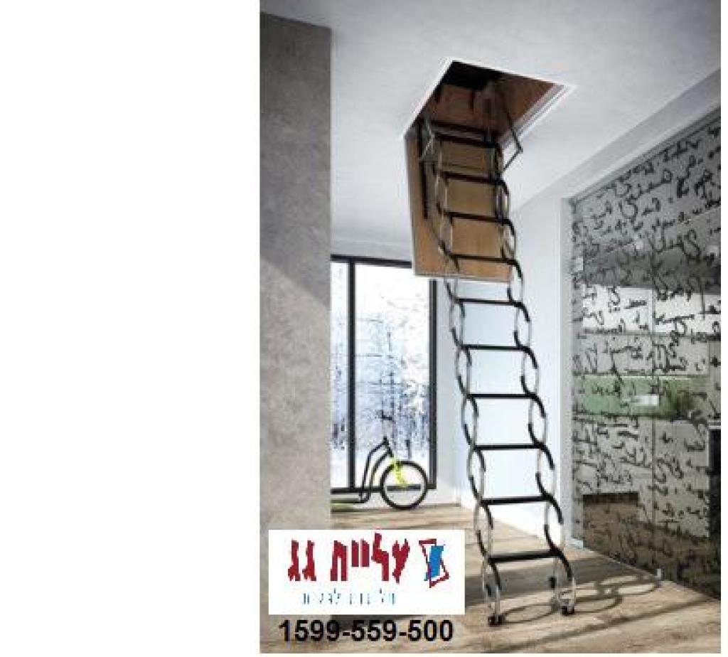 עליית גג סניף נס ציונה עליית גג סניף נס ציונה