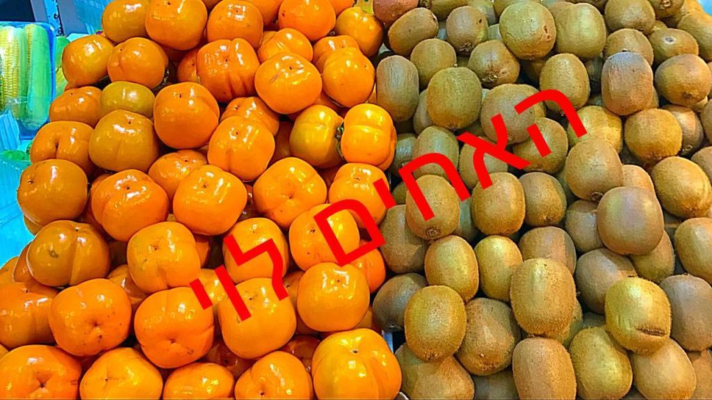 האחים לוי חולון האחים לוי חולון