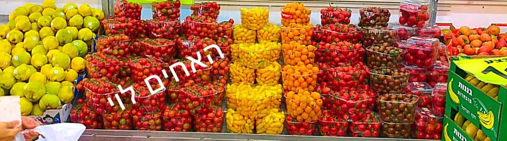 האחים לוי חולון האחים לוי חולון