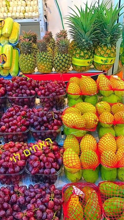 האחים לוי חולון האחים לוי חולון