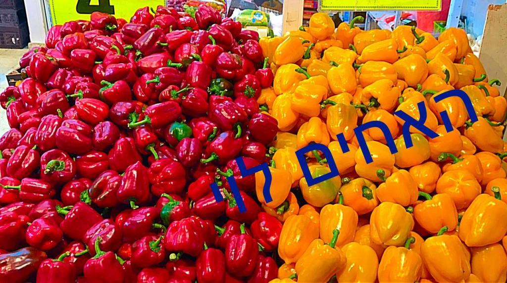 האחים לוי חולון האחים לוי חולון