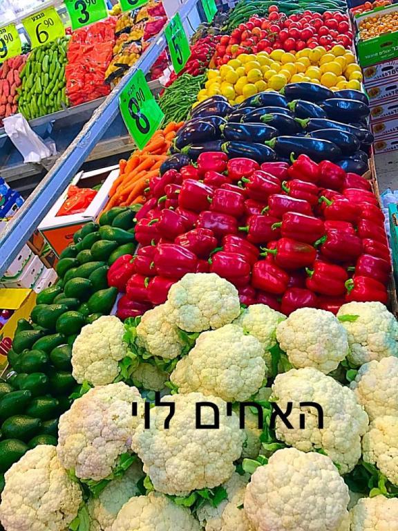 האחים לוי חולון האחים לוי חולון